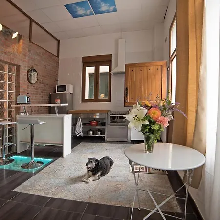 De Lujo En Apartment Gijon